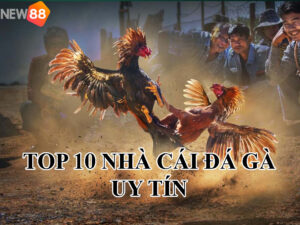 top-10-nha-cai-da-ga